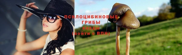 амф Арсеньев