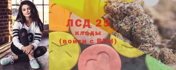 спиды Армянск